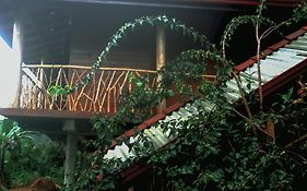 The Dream Inn